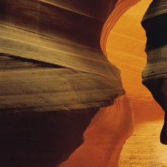 1-603-Side-Canyon-NG Фотообои Komar National Geographic x